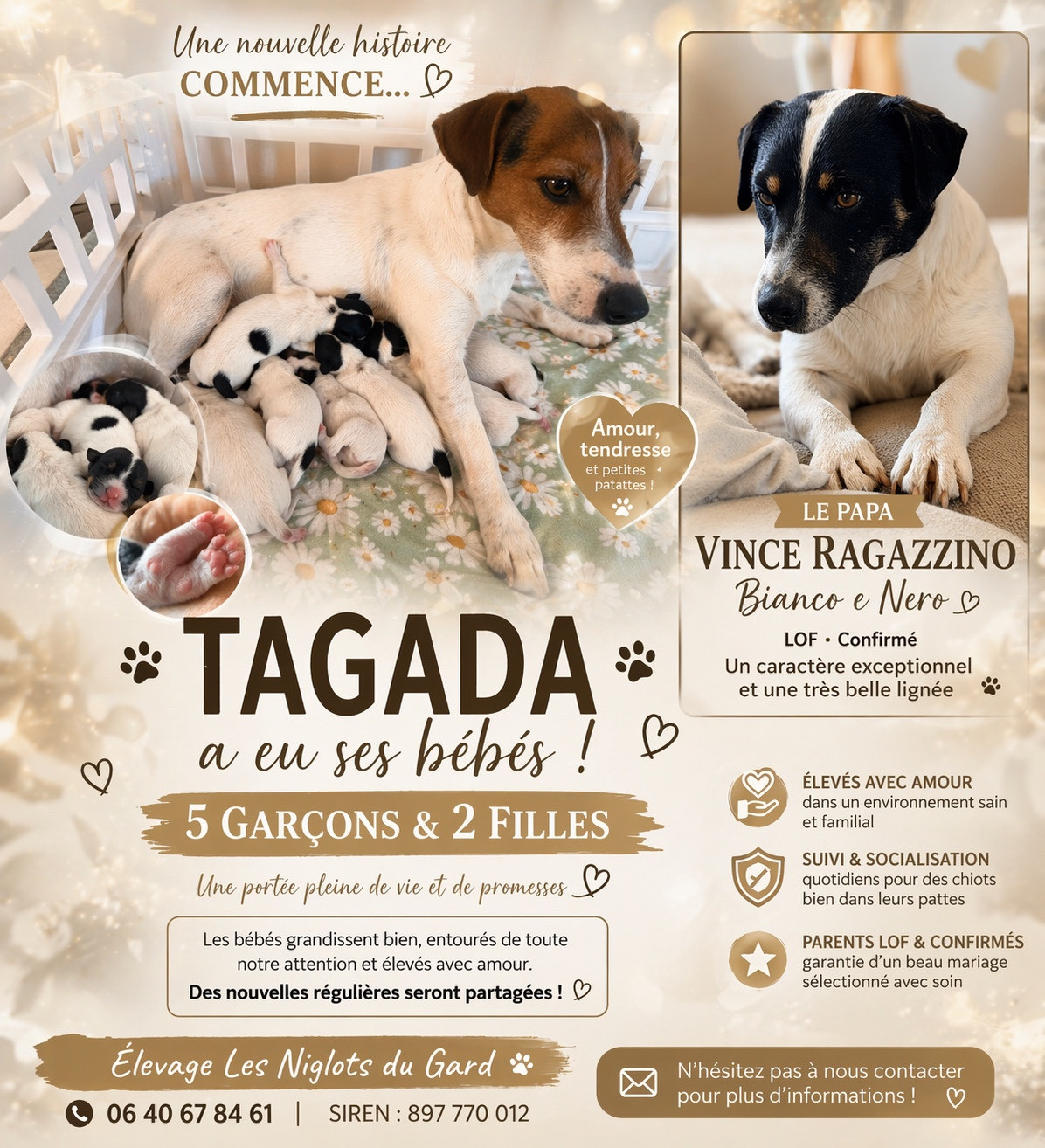 LES BEBES DE TAGADA SONT LÀ !