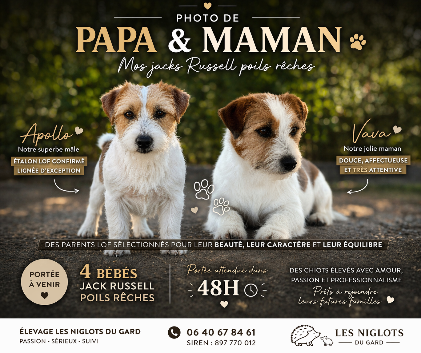 DES POILUS ARRIVENT A GRAND PAS