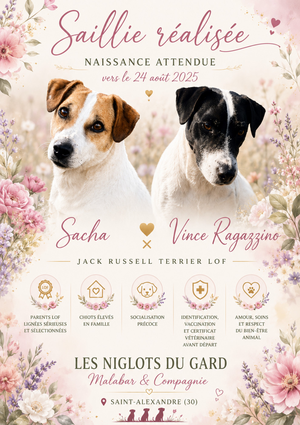 SACHA AURA DES BEBES EN AOUT PROCHAIN !!