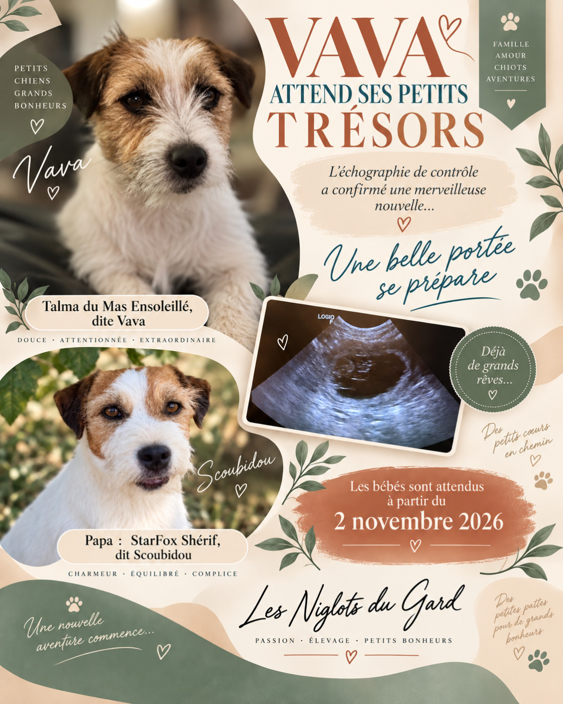 Des Niglots Du Gard - Des vava zouilles pour novembre 26