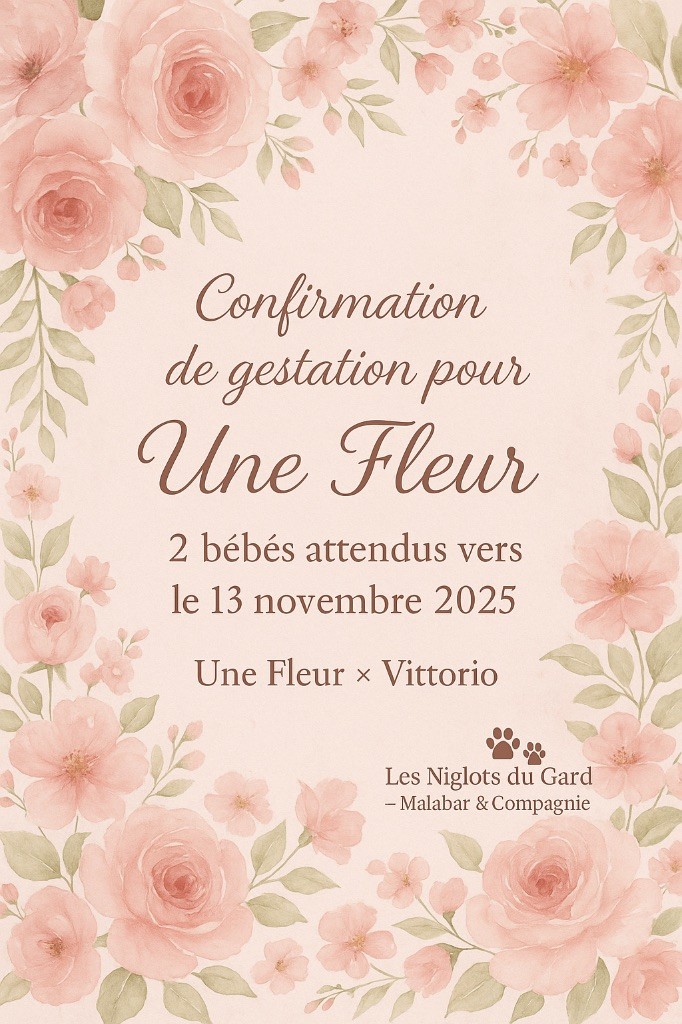 Des Niglots Du Gard - DES BEBES CHICHI BIENTOT !!