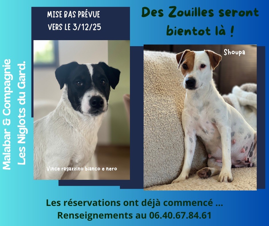 NAISSANCES IMMINENTE !!